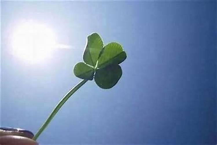 嫁娶择吉日的正确方法,安葬择日的方法