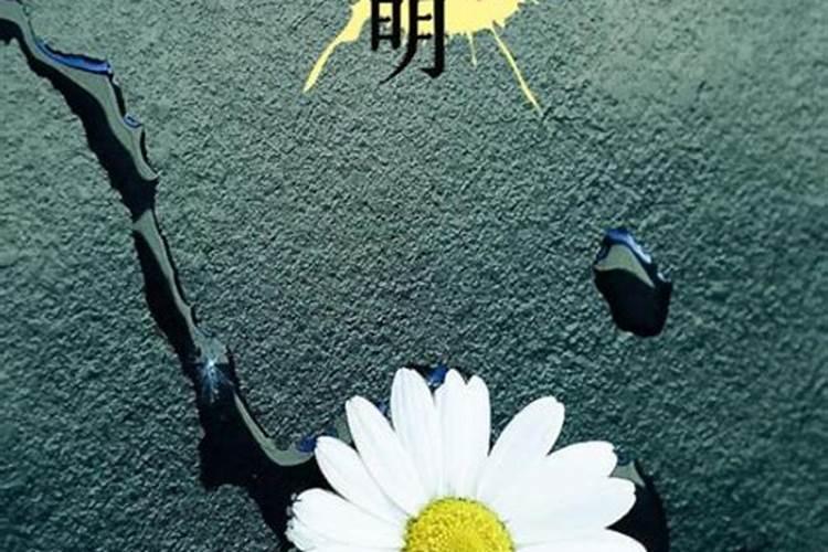 听别人说,人死后前三年清明不能上坟,有知道这是怎么个说法的吗？到底能...