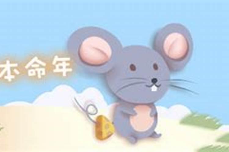 我属鼠年本命年戴什么？