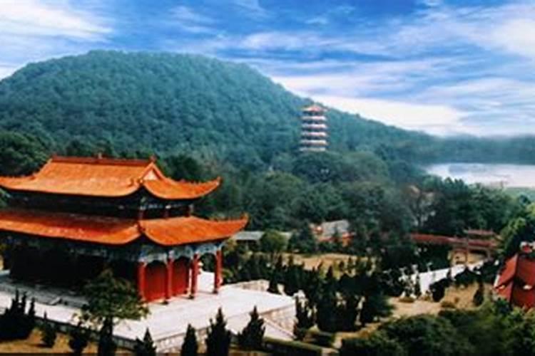 虎蛇婚配大吉,虎蛇相配会白头到老吗？虎蛇能白头到老吗
