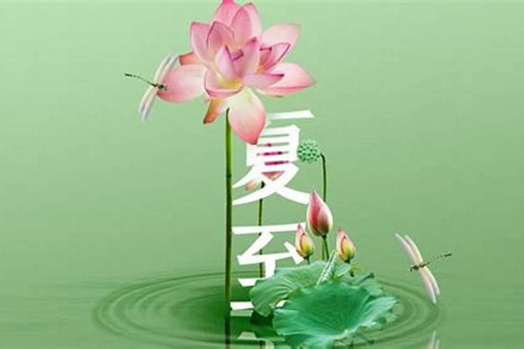 夏至吃什么,有什么传统的食物