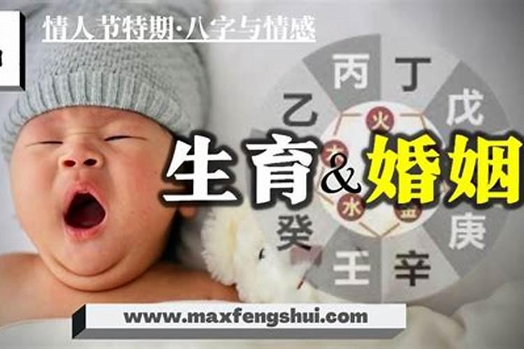 1986年4月19日晚8点10分出生的八字是什么