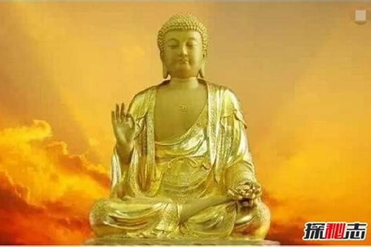 请问有人放生过吗？应该怎样放生？是要选择鱼类吗？放生时需要念佛经...