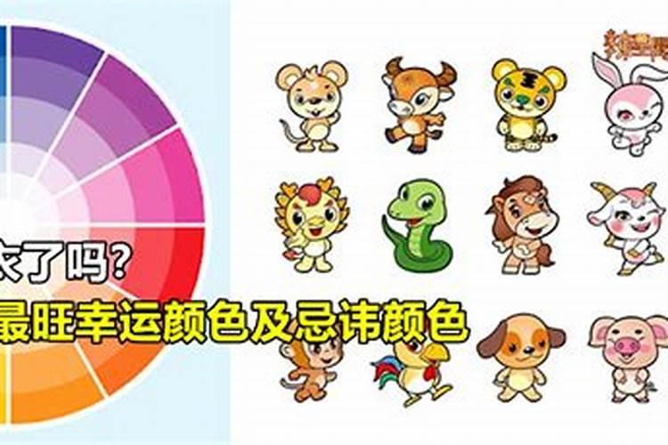 生肖狗1946年2025年运势如何 生肖狗1946年2025年全年运势