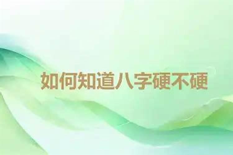 1995年闰八月出生属猪的人一生运势如何？