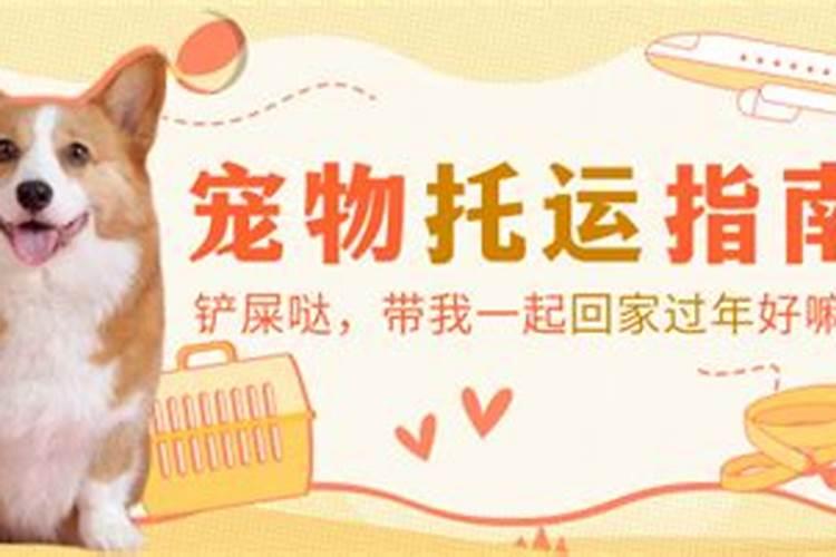 梦见张洪水,背着儿子一直爬到山顶？