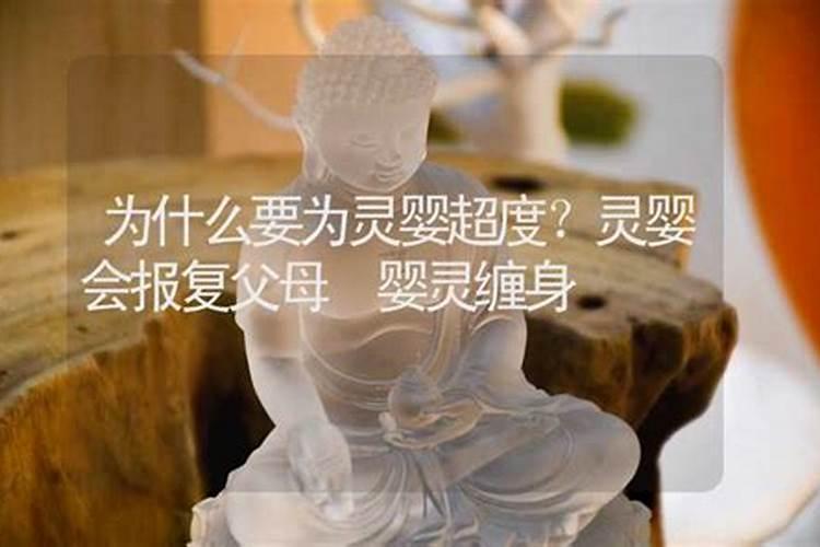 出门踩到狗屎预兆什么