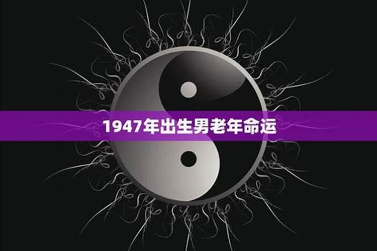 不同年份出生的属猪人命运