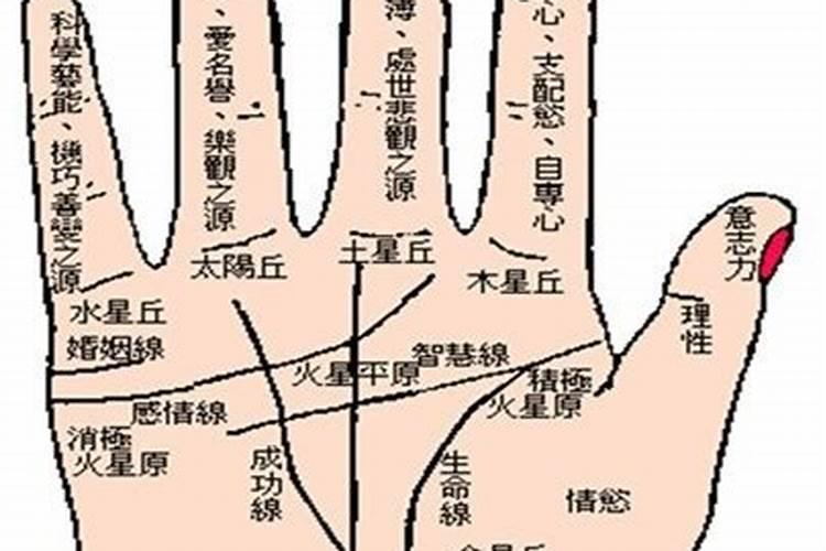 梦见别人送花给他人的预兆