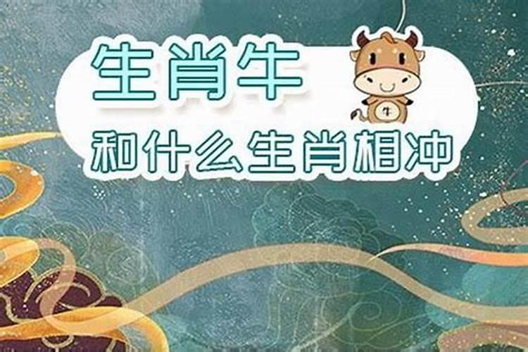 1973属牛人2024年运势及运程