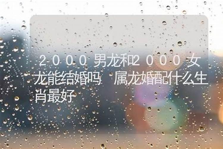 龙和龙的属相婚配会幸福吗？两龙在一起合适吗