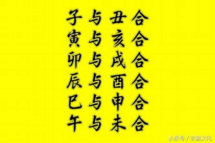 属马人2025年全年运势运程
