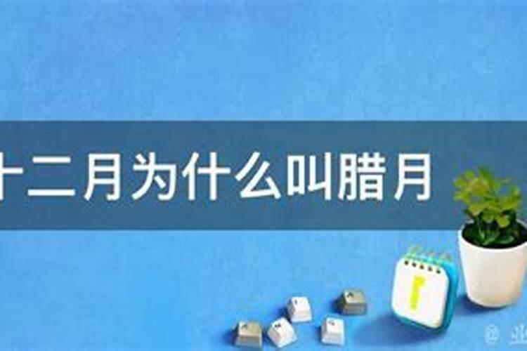 69年属鸡人2024年下半年运势