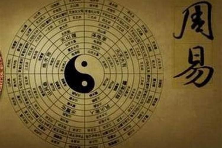 腊月出生的属狗人有怎样的命运 属狗几点最好命