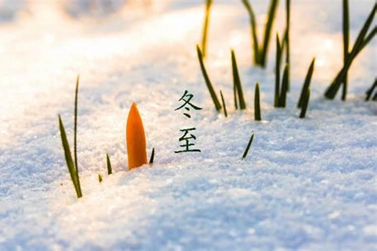冬至前三天亥时真的会交运吗
