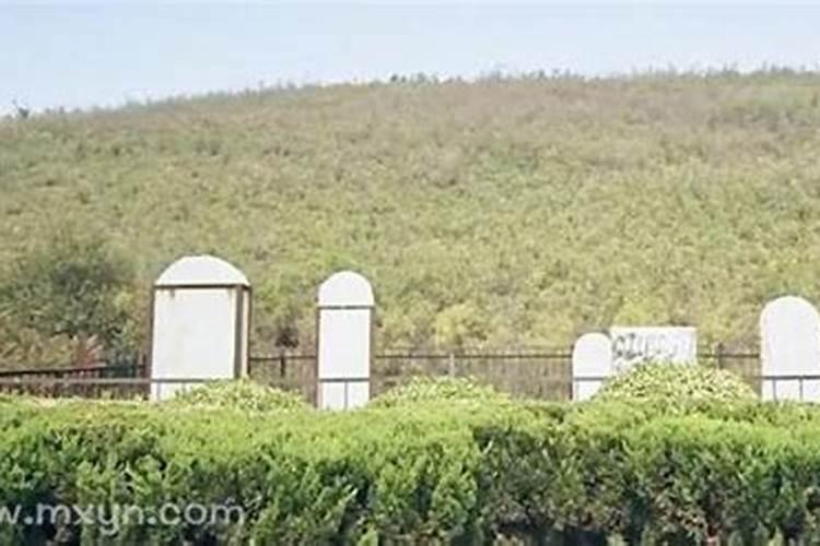 潜山隐市打一正确生肖