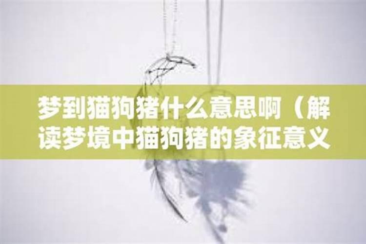 为何属牛的人不能跟属马的一起 相克吗