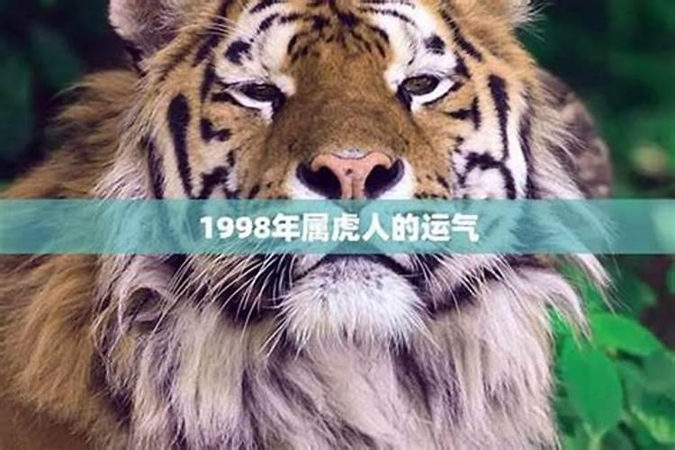 1988属龙人2025年每月运势详解
