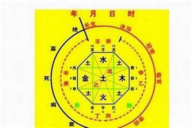 生肖蛇2025年运势及运程如何