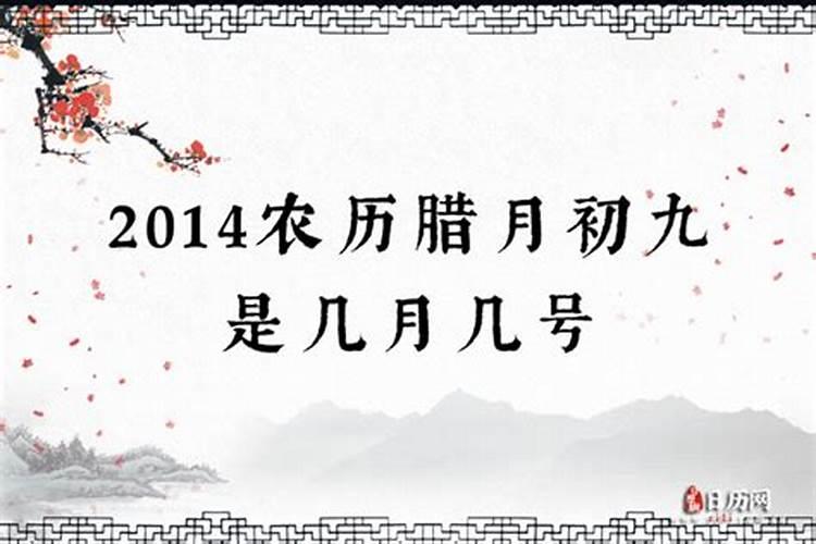 2025属猪人的全年运势