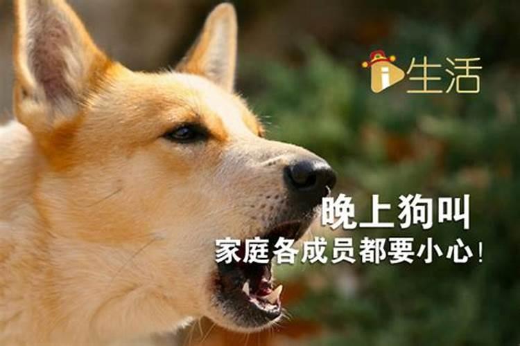 2023年十二生肖月份运势,李计忠2023年运势