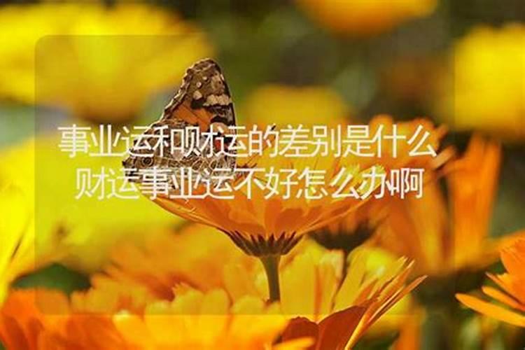 家中哪个方位最旺孩子的学业