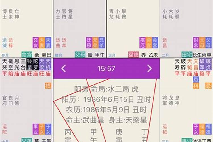 十二生肖2025年运势及运程每月运程详解