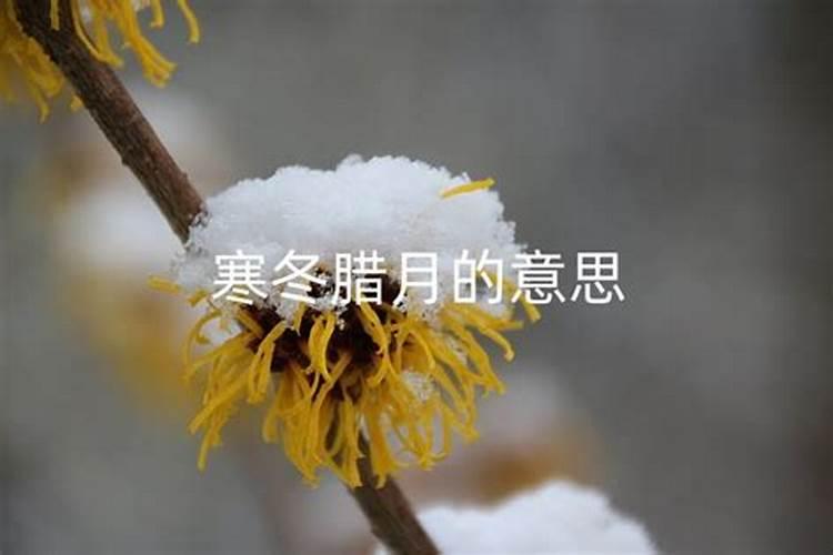 重阳节生日是什么星座 重阳节生日的星座