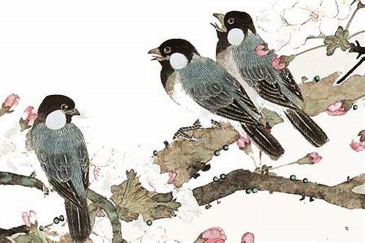 什么叫滚浪桃花