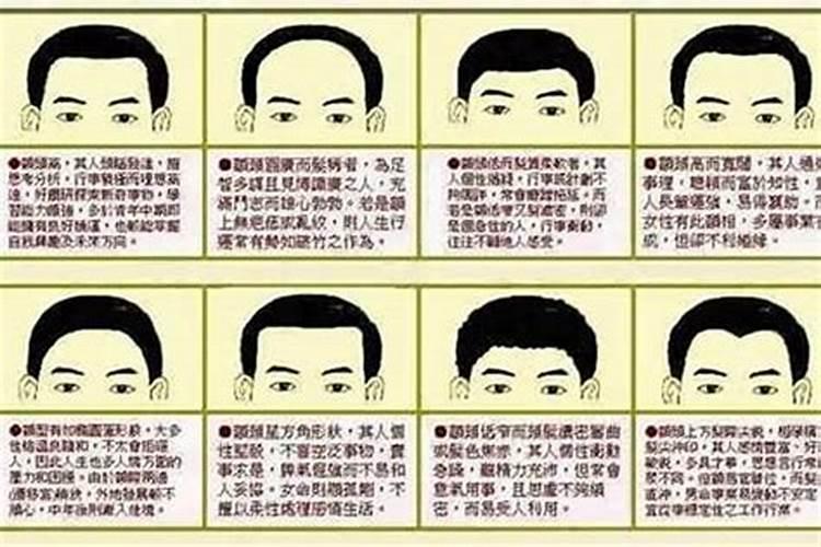 十二生肖全年运势详解 2021牛年运程分析