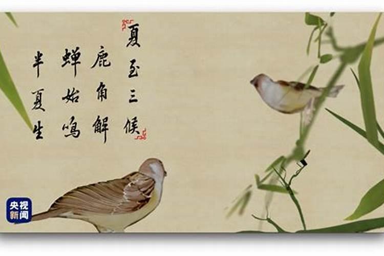 1982年阴历十一月十三午时出生五行缺什么