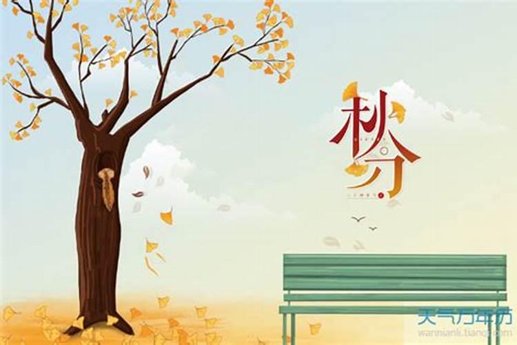 办公室风水财位图解 东南西北各有讲究