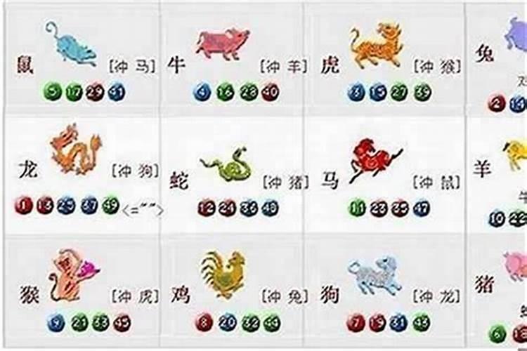 1980年属猴的人五行缺什么