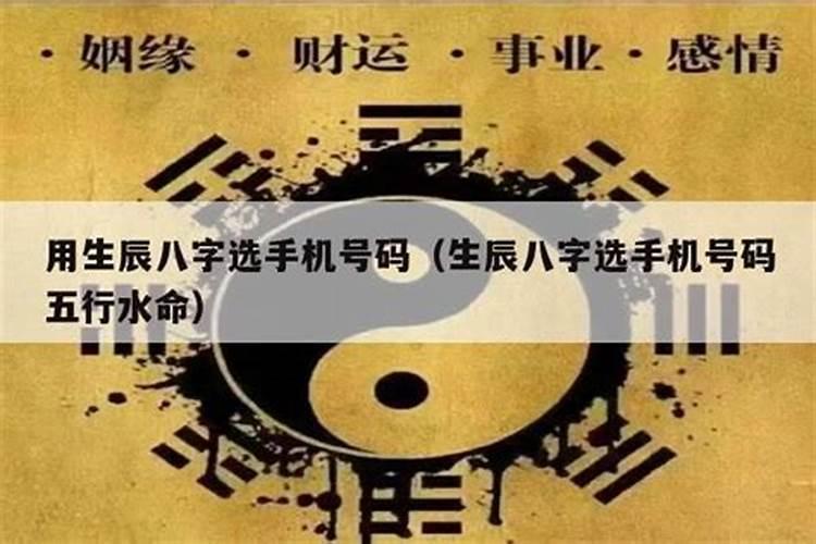 1980年属猴男性和1978年属马女性婚姻配吗？