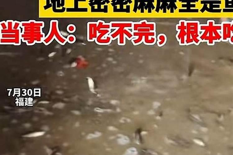 关于重阳节小品的剧本(3人的)