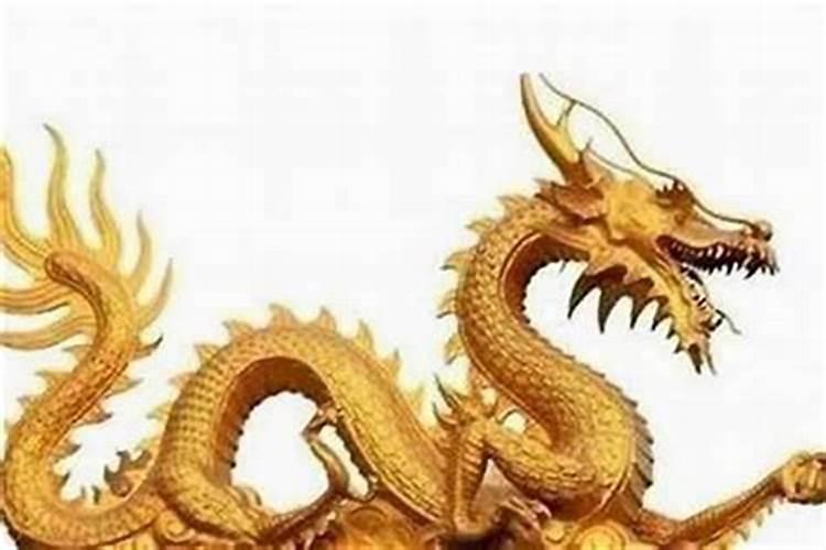 八字婚姻:属虎和属龙的会合财吗 婚配怎么样？