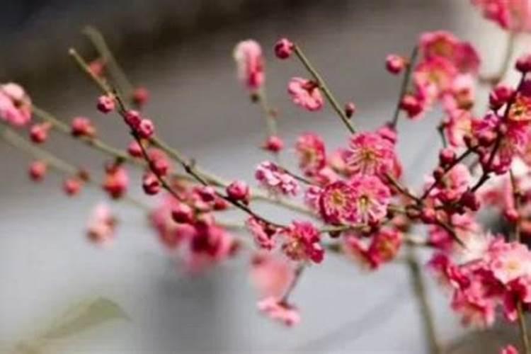 农历十月一日家里能干装修的活吗？