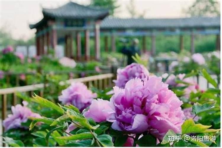 长春周边端午节旅游最佳去处