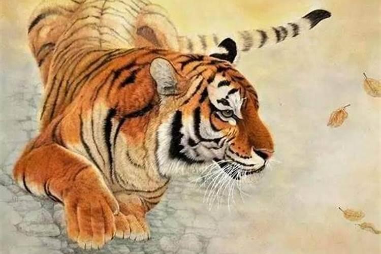 农历98年腊月初二早上7点生的男宝宝五行属性  百度宝宝知道