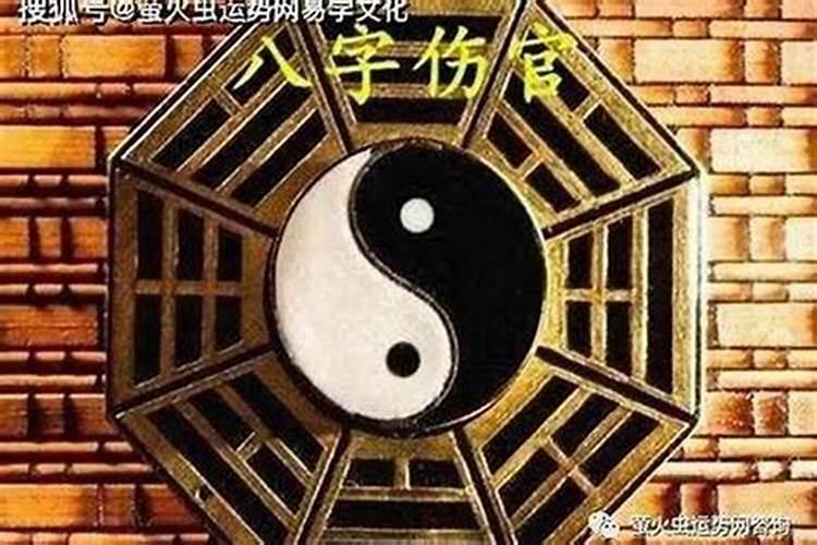 大运含有财库八字 财库入命的特征分析？