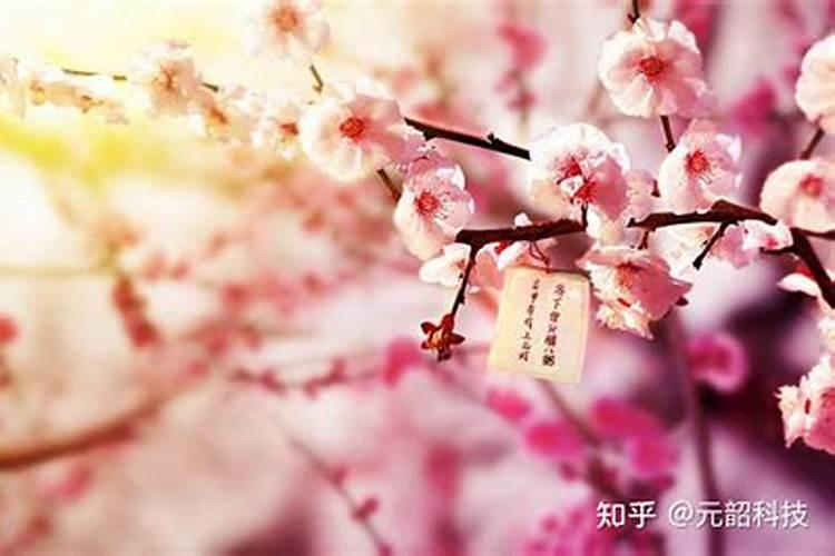 在金庸的原文不断提到,张三丰练就了一个童子功,何为童子功？