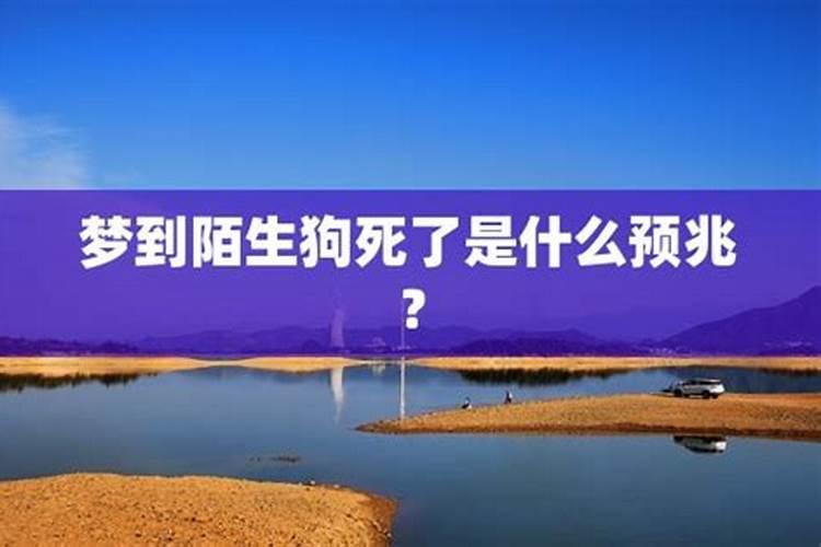 梦见别人的狗死了的预兆