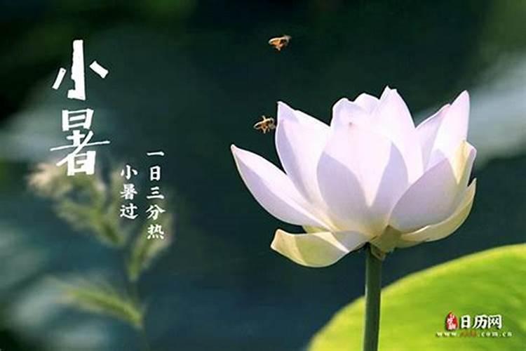 《红楼梦》王子腾一朝小人得志,至亲踩踏遭劫难