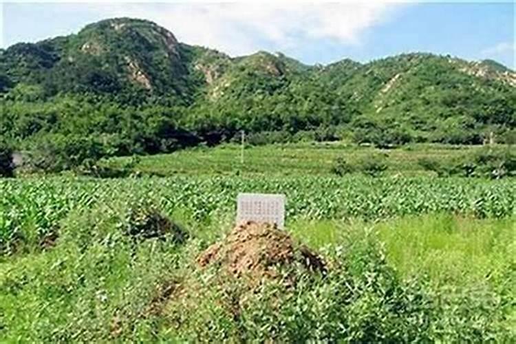 怎么查俩人八字合不合用知道时间吗？