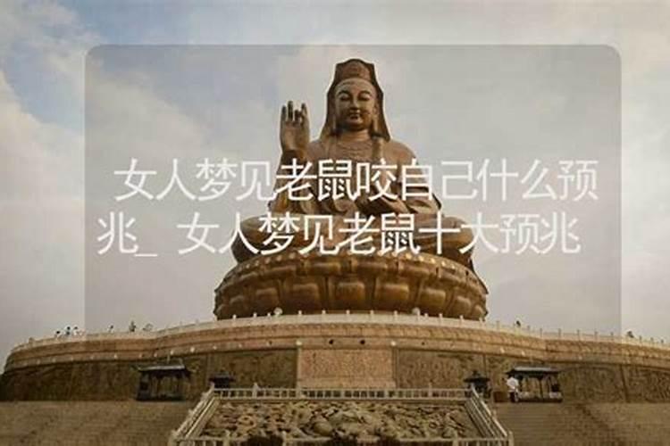 梦见老鼠死了是什么意思