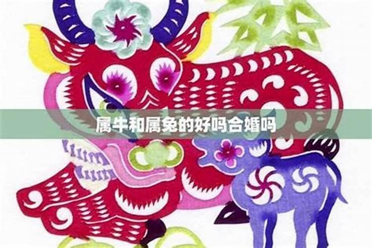 梦见死人复活的含义 梦见死人复活什么意思