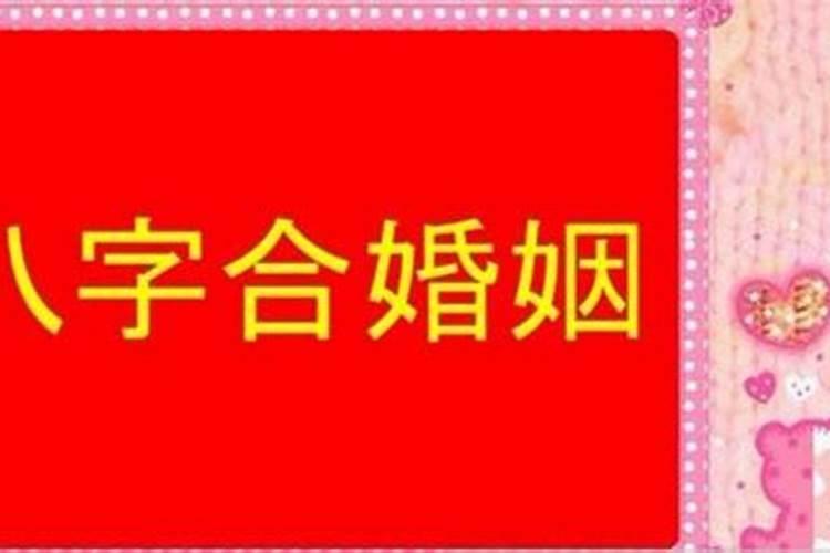 生肖猪1995年2025年运势如何 生肖猪1995年2025年全年运势