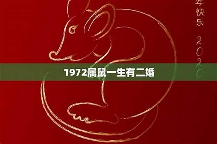 属鼠运气最好的月份