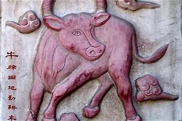 八字中食伤代表的是什么意思