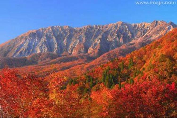 周公解梦梦见大山是什么意思